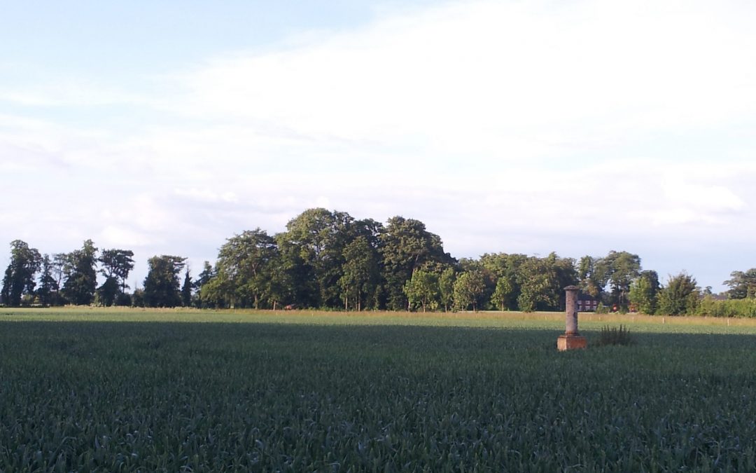 Elizabeth Woodcock Memorial