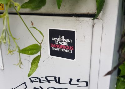 The Government is More Dangerous Than The Virus