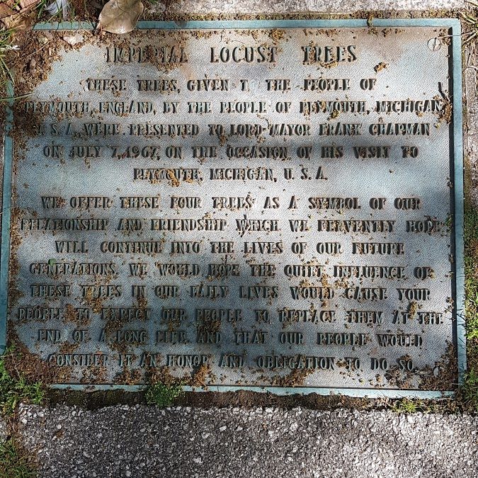 Imperial Locust Trees, Plymouth